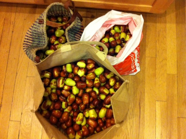 Bags of Picked Jujubes