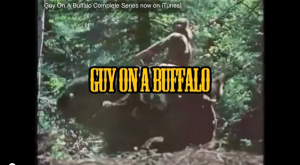 Guy on a Buffalo