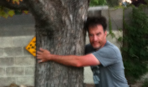 I hug the tree.