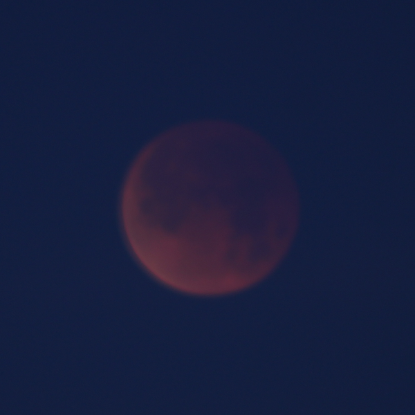 bloodmoon4