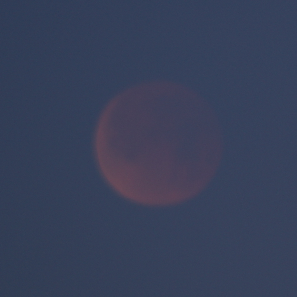 bloodmoon5