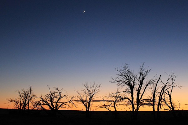 Crescent at dusk.